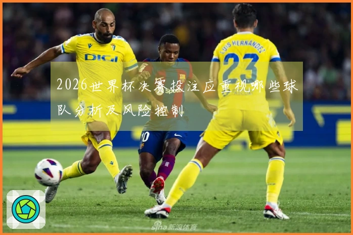 2026世界杯决赛投注应重视哪些球队分析及风险控制