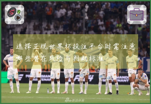 选择正规世界杯投注平台时需注意哪些潜在风险与判断标准