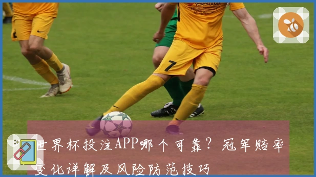 世界杯投注APP哪个可靠？冠军赔率变化详解及风险防范技巧